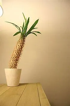 Maxim 4* Палермо
