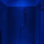 Maxim 4*